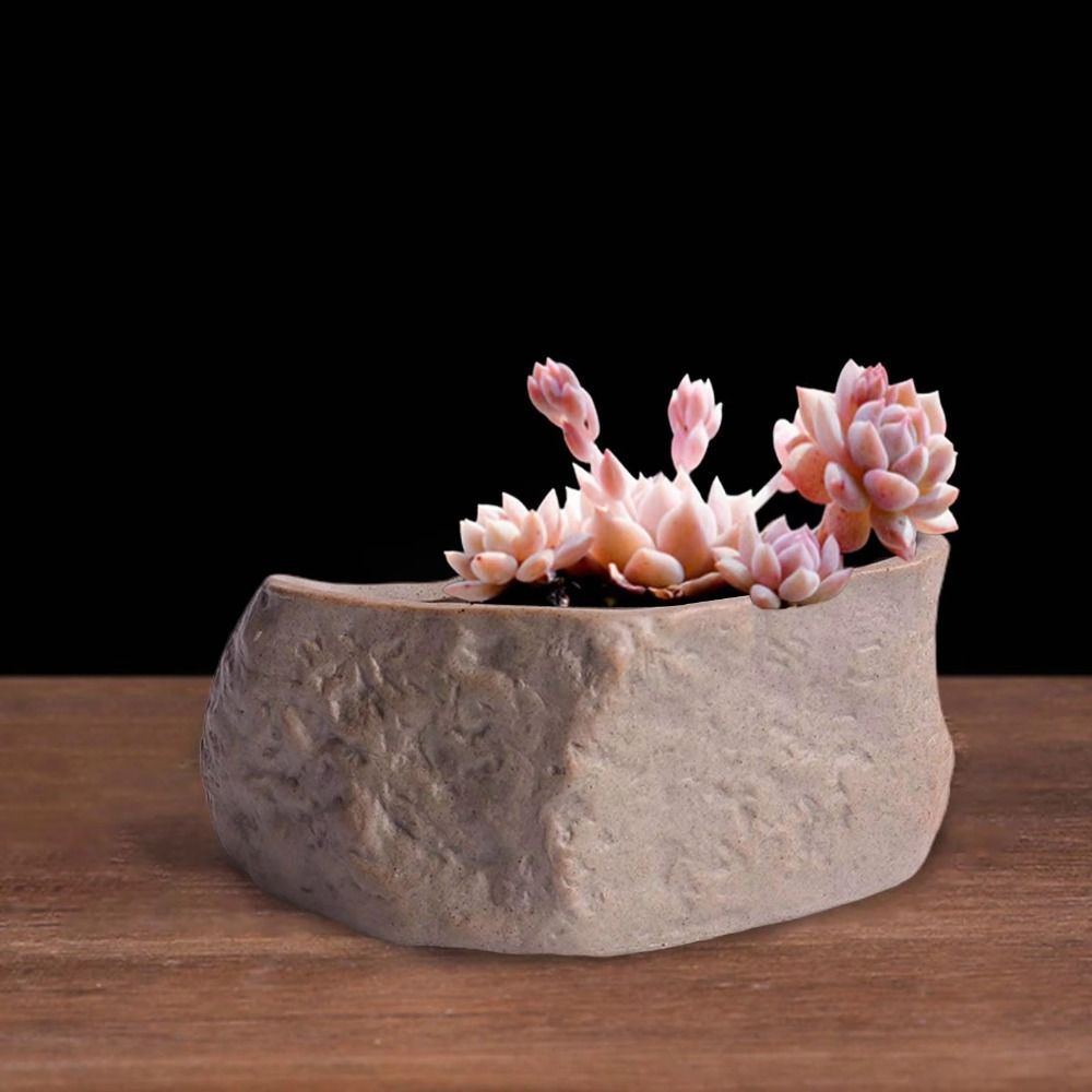 Ceramic Succulent Plant Pots S - đánh giá và giá Aloe Vera Pot