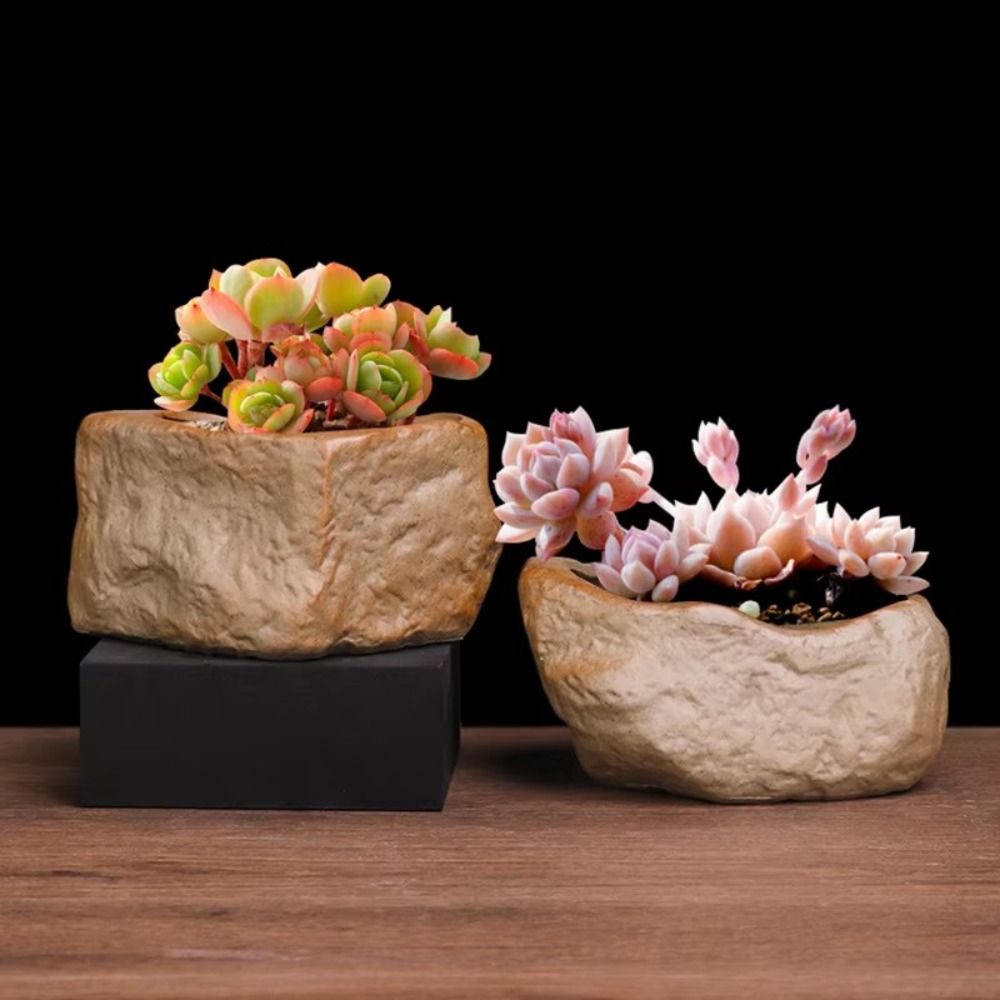 Ceramic Succulent Plant Pots S - đánh giá và giá Aloe Vera Pot