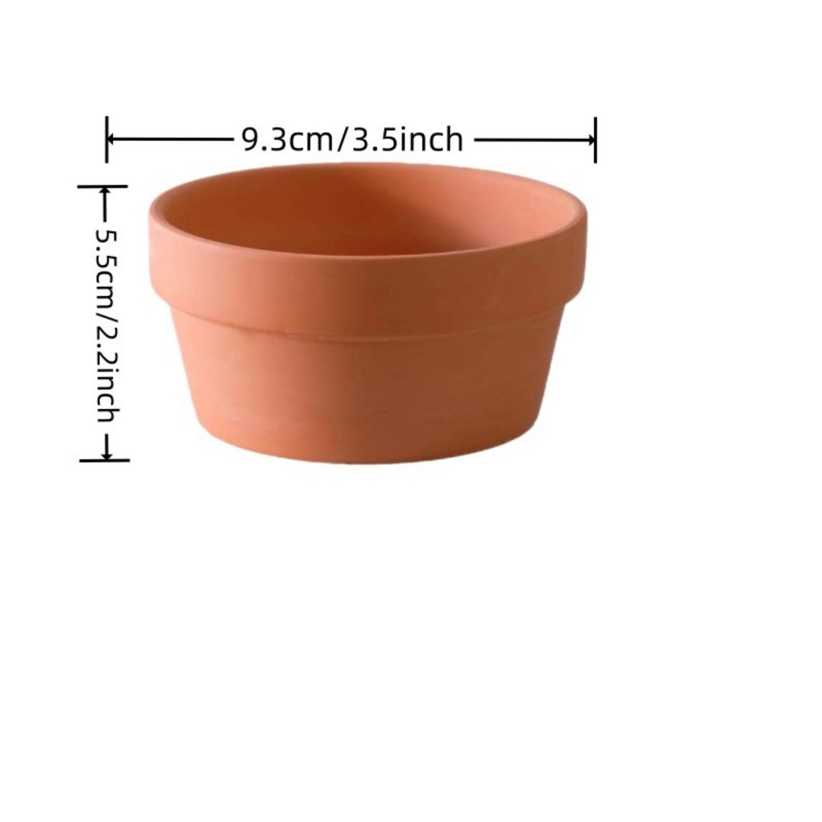 6 PCS Terracotta Buld Pots 3.5 - đánh giá và giá Aloe Vera Pot