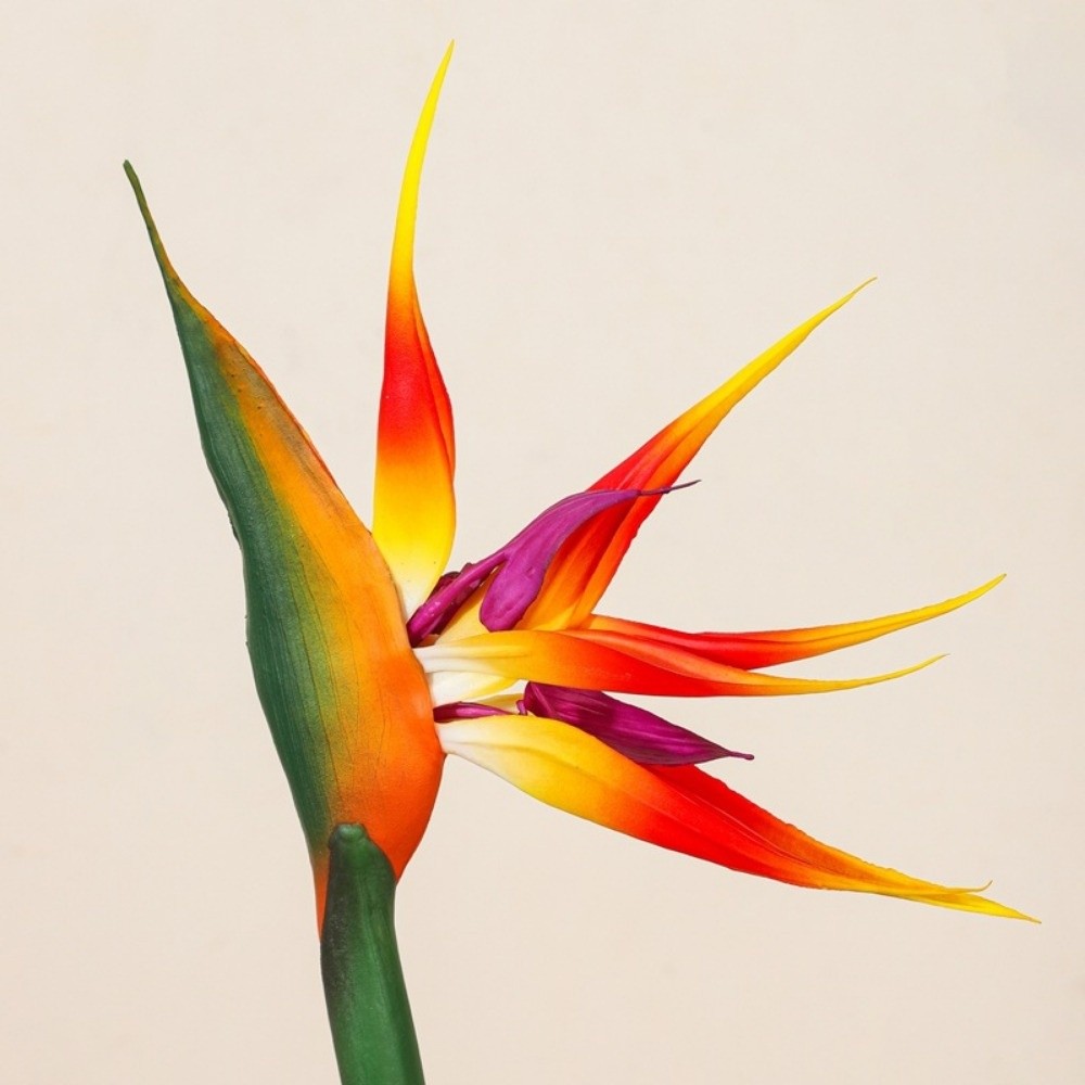 New Long Stem Artificial Bird  - đánh giá và giá Bird Paradise Strelitzia