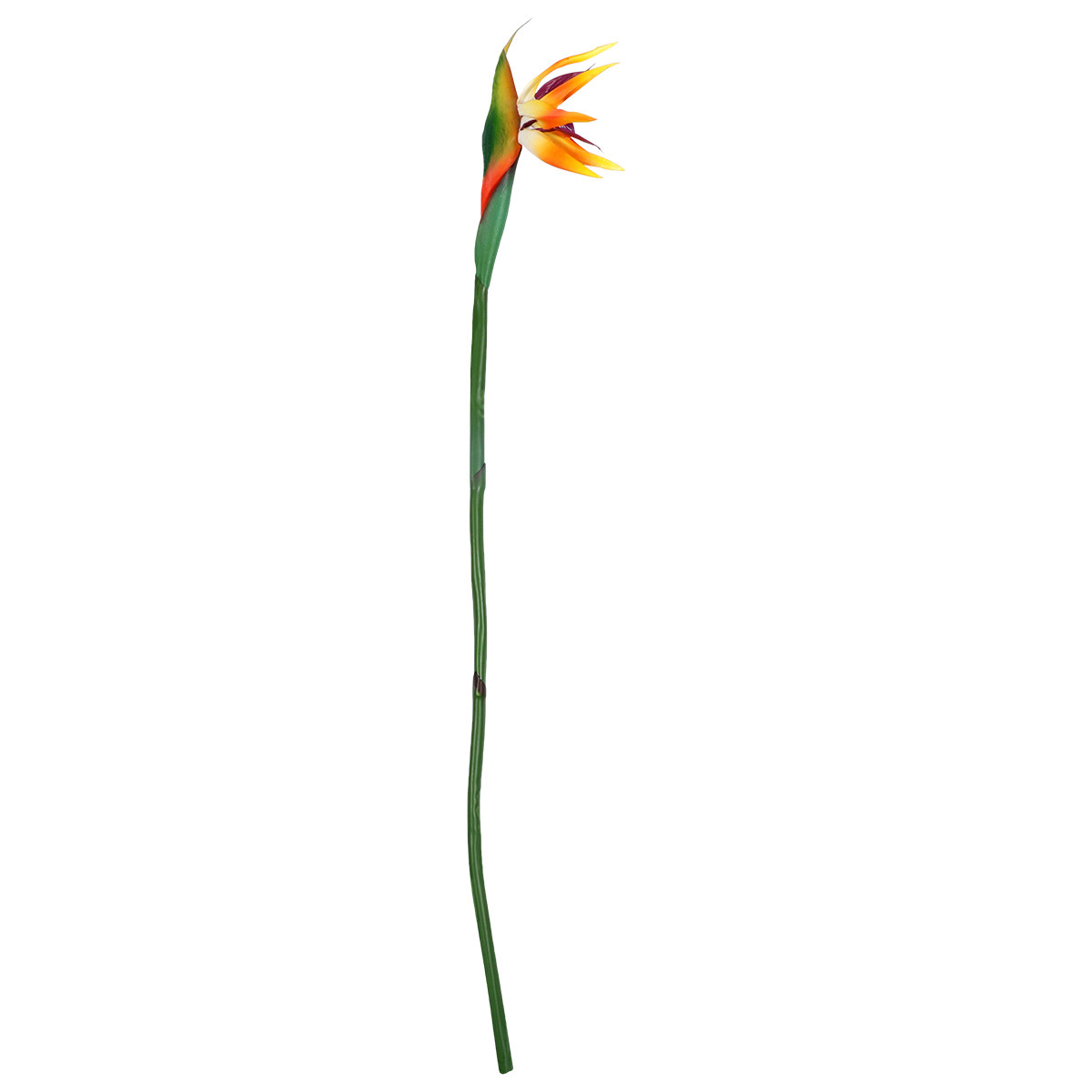Real Touch Faux Strelitzia Flo - đánh giá và giá Bird Paradise Strelitzia