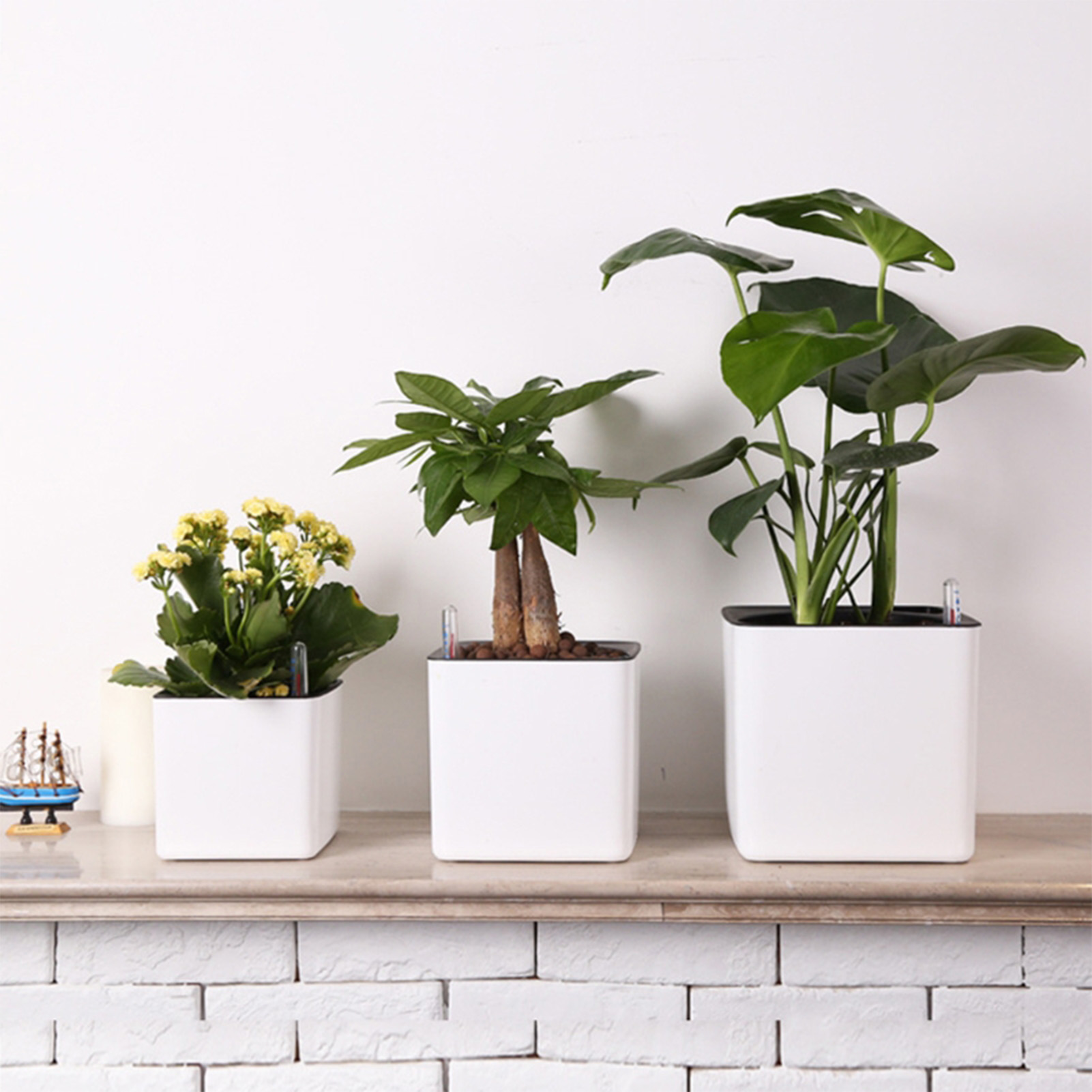 Self Watering Planter Self-wat - đánh giá và giá Aloe Vera Pot