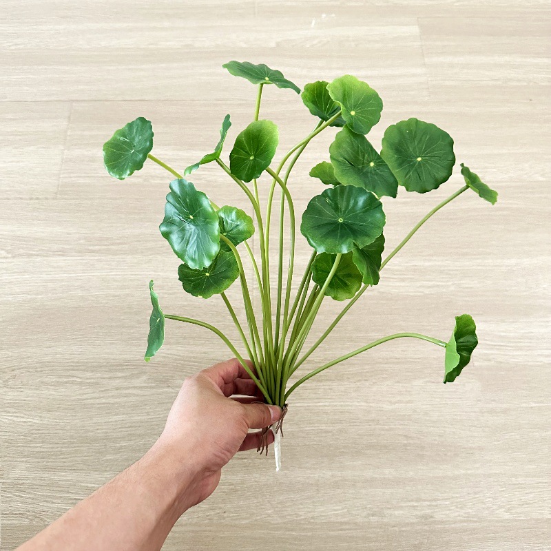 2pcs Artificial Pilea Peperomi - đánh giá và giá Pilea Peperomioides