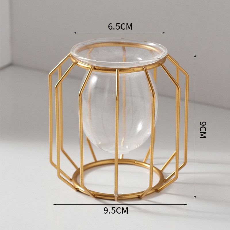 Home creative hydroponic vase  - đánh giá và giá Aloe Vera Pot