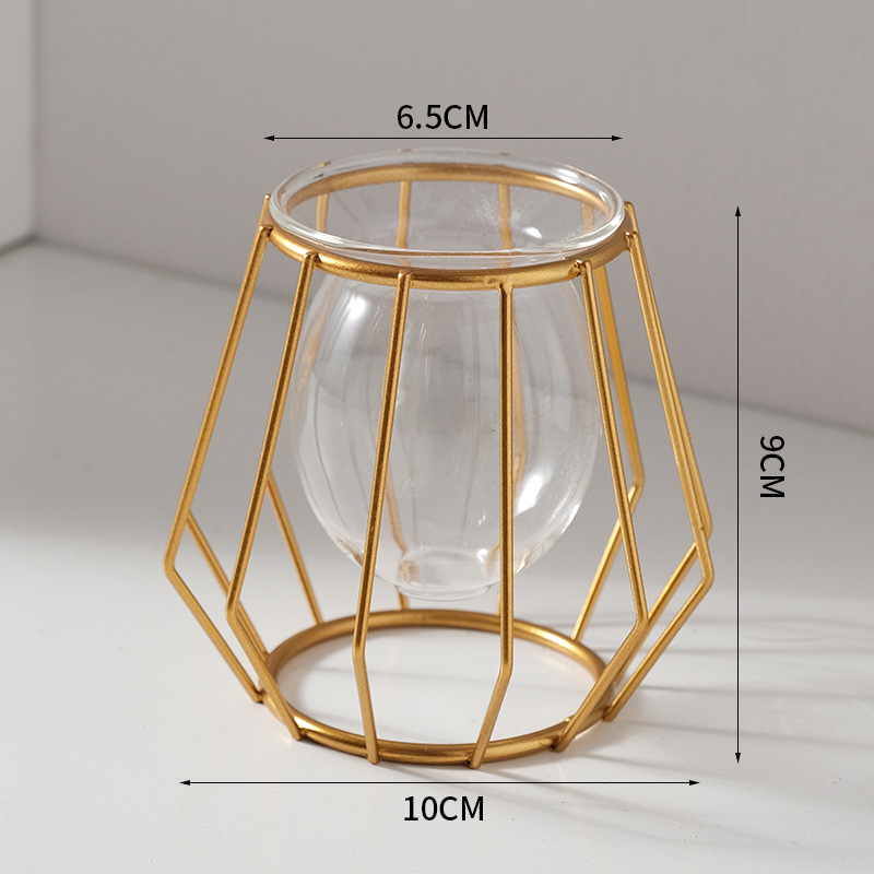 Home creative hydroponic vase  - đánh giá và giá Aloe Vera Pot