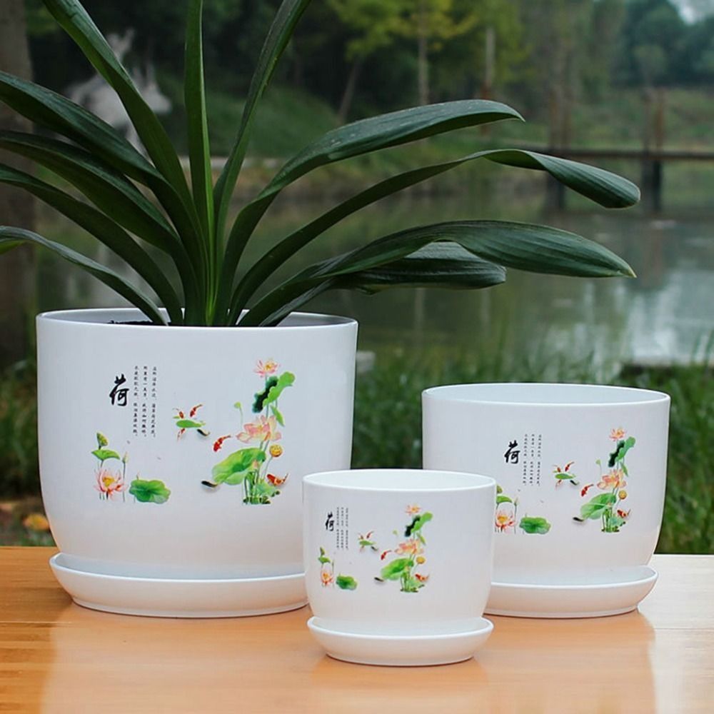 Extra Large Plastic Flower Pot - đánh giá và giá Aloe Vera Pot